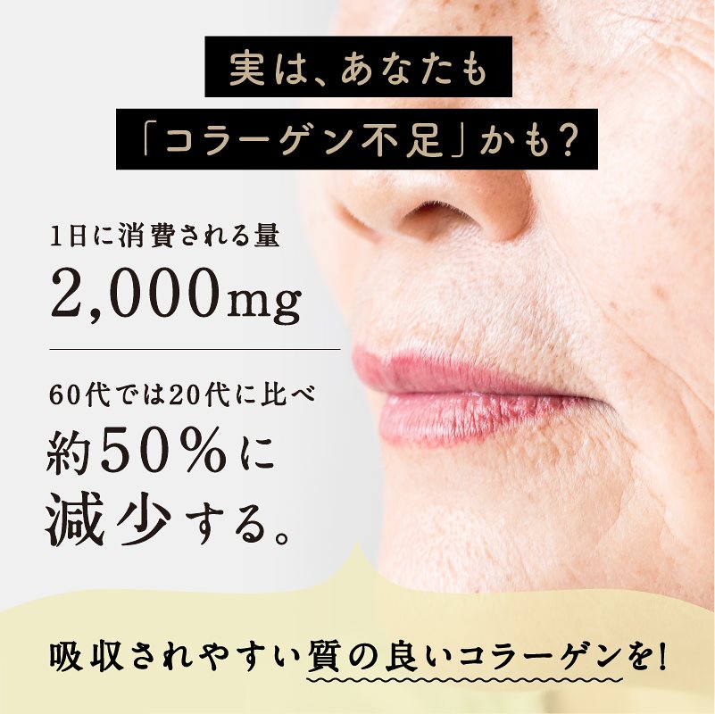 こなゆきコラーゲン 100g10袋 食品屋が本当に美容を考えた一番搾り低分子コラーゲンペプチド