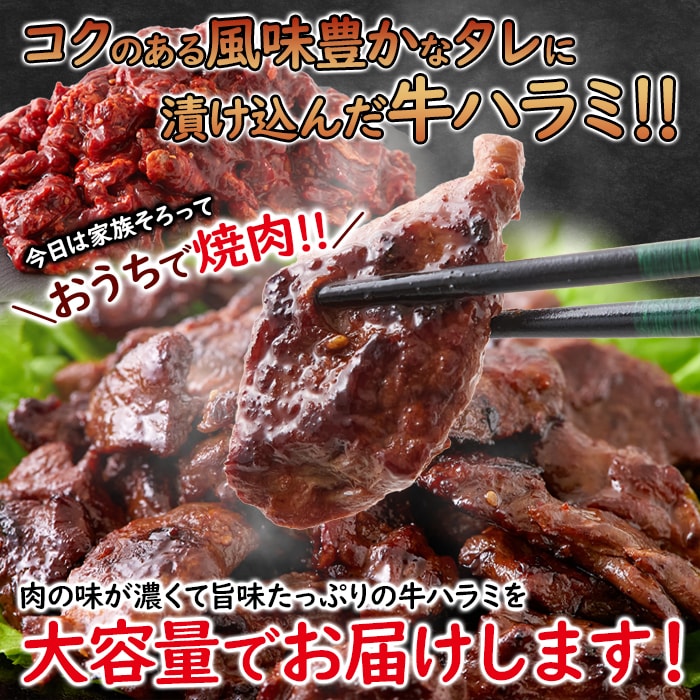 大容量 牛ハラミ こく醤油味1kg コクのある風味豊かなタレ漬け はらみ ハラミ 牛肉 冷凍A pre