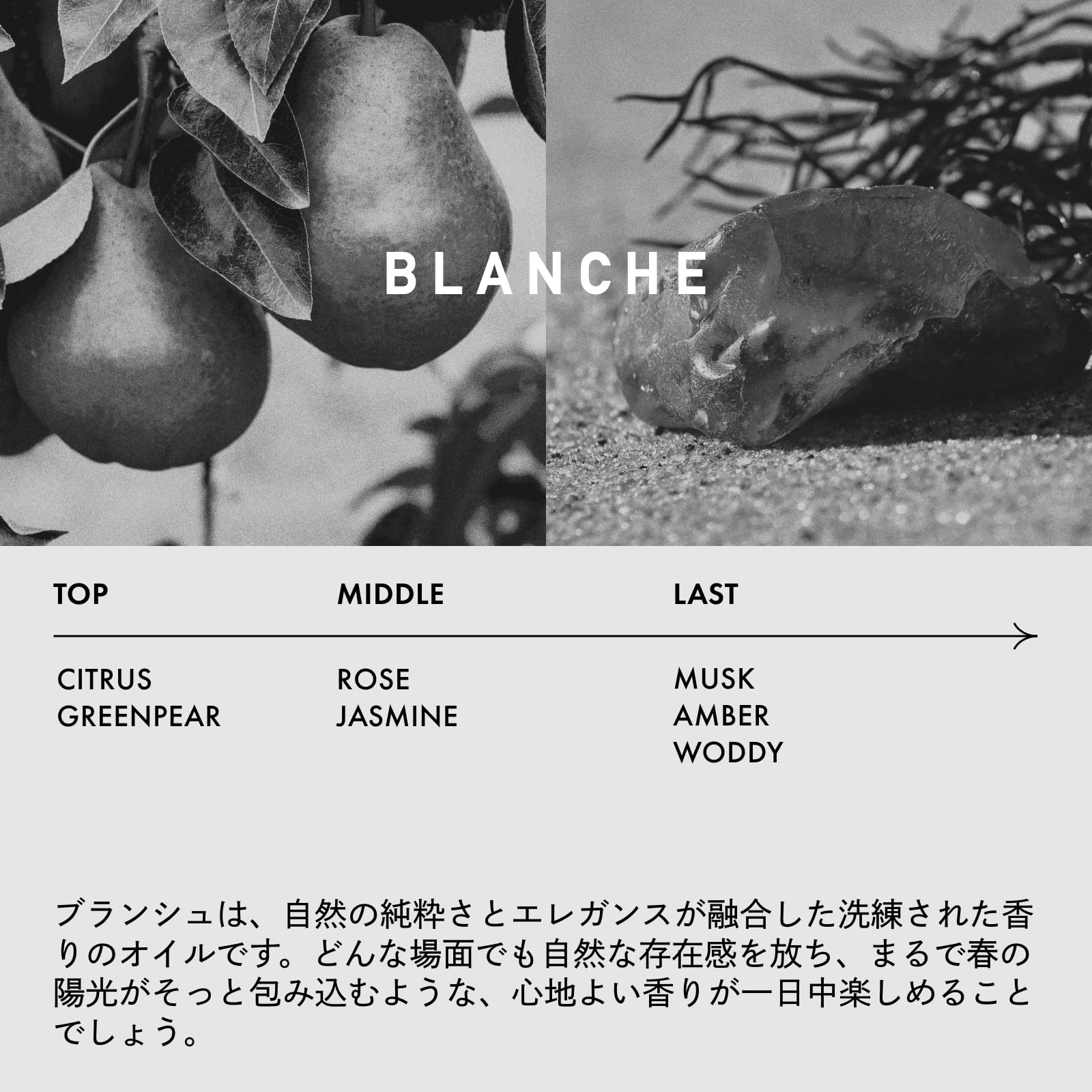 LOA THE OIL BLANCHE ロア ザ オイル ブランシュ (100ml) LOA THE OIL BLANCHE ロア ザ オイル ブランシュ (100ml)