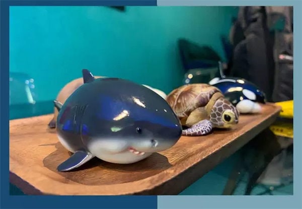 動物の惑星 海洋 6種セット フィギュア コレクショントイ 動物惑星 Amazon | 動物惑星 ガチャガチャ ブラインド ボックス シロイルカ