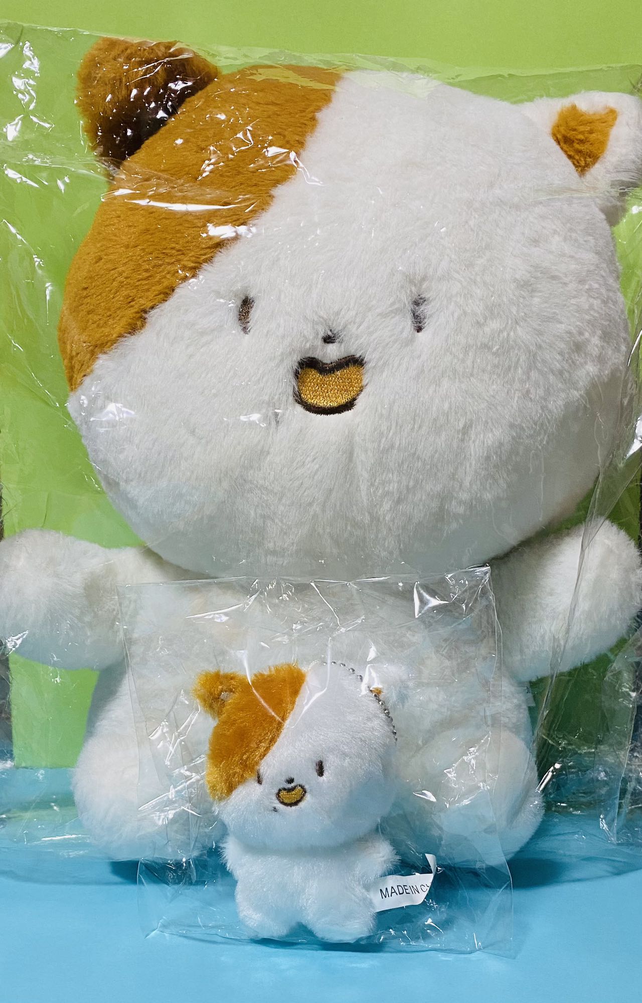 NCT DREAM チソン ぬいぐるみ 30ｃｍ ワンケッチ ＋10ｃｍ ポケッチ 2点セット 지성 Jisung 朴志晟