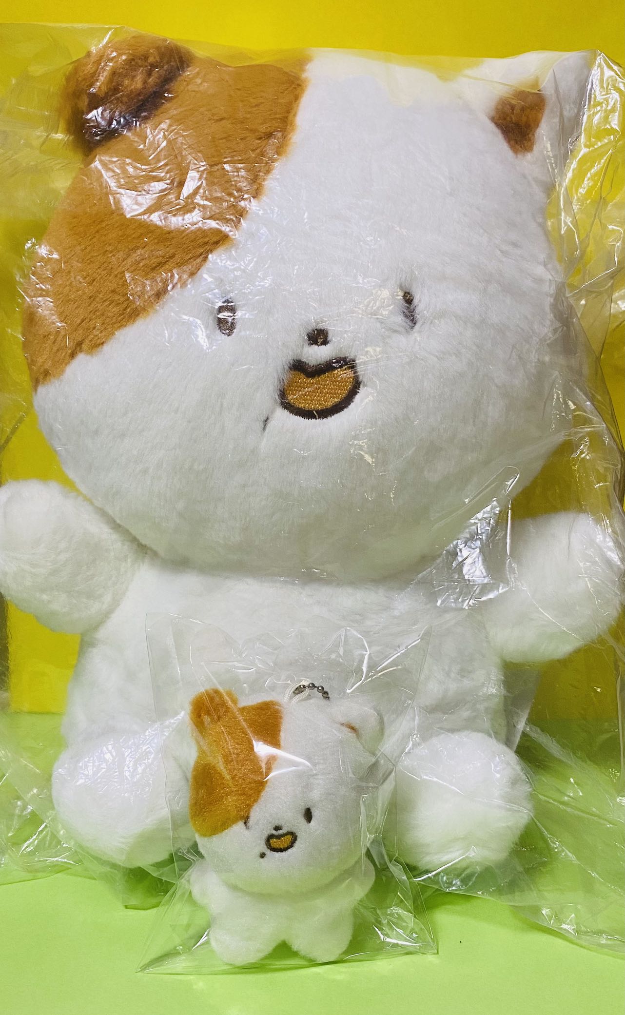 NCT DREAM チソン ぬいぐるみ 30ｃｍ ワンケッチ ＋10ｃｍ ポケッチ 2点セット 지성 Jisung 朴志晟