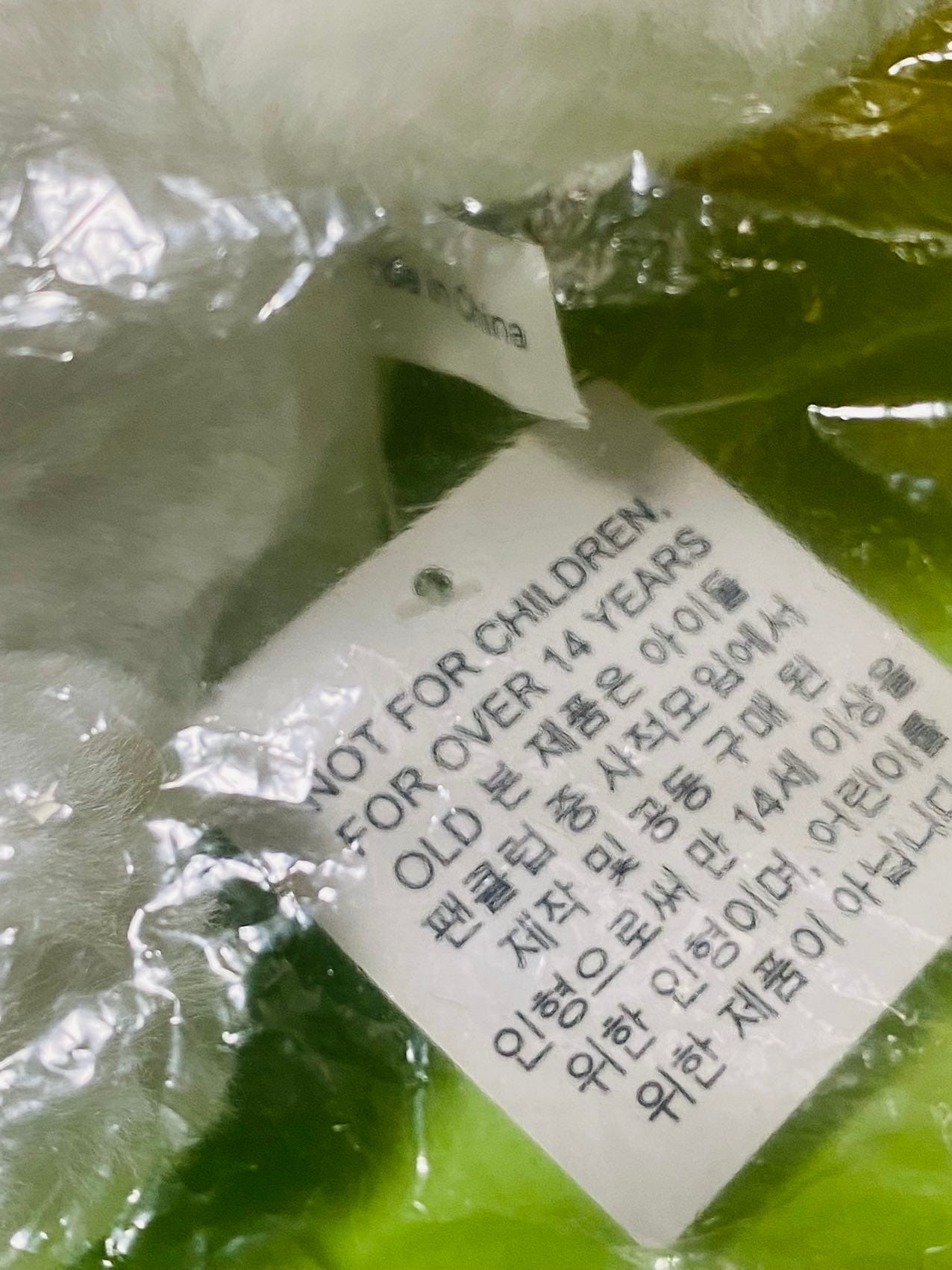 NCT DREAM チソン ぬいぐるみ 30ｃｍ ワンケッチ ＋10ｃｍ ポケッチ 2点セット 지성 Jisung 朴志晟