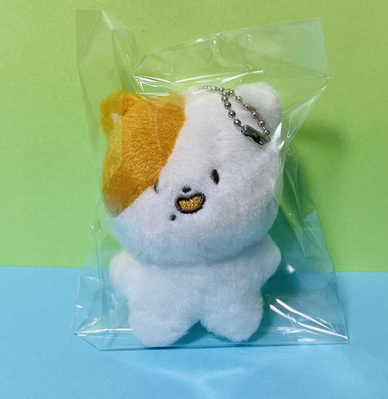 NCT DREAM チソン ぬいぐるみ 30ｃｍ ワンケッチ ＋10ｃｍ ポケッチ 2点セット 지성 Jisung 朴志晟