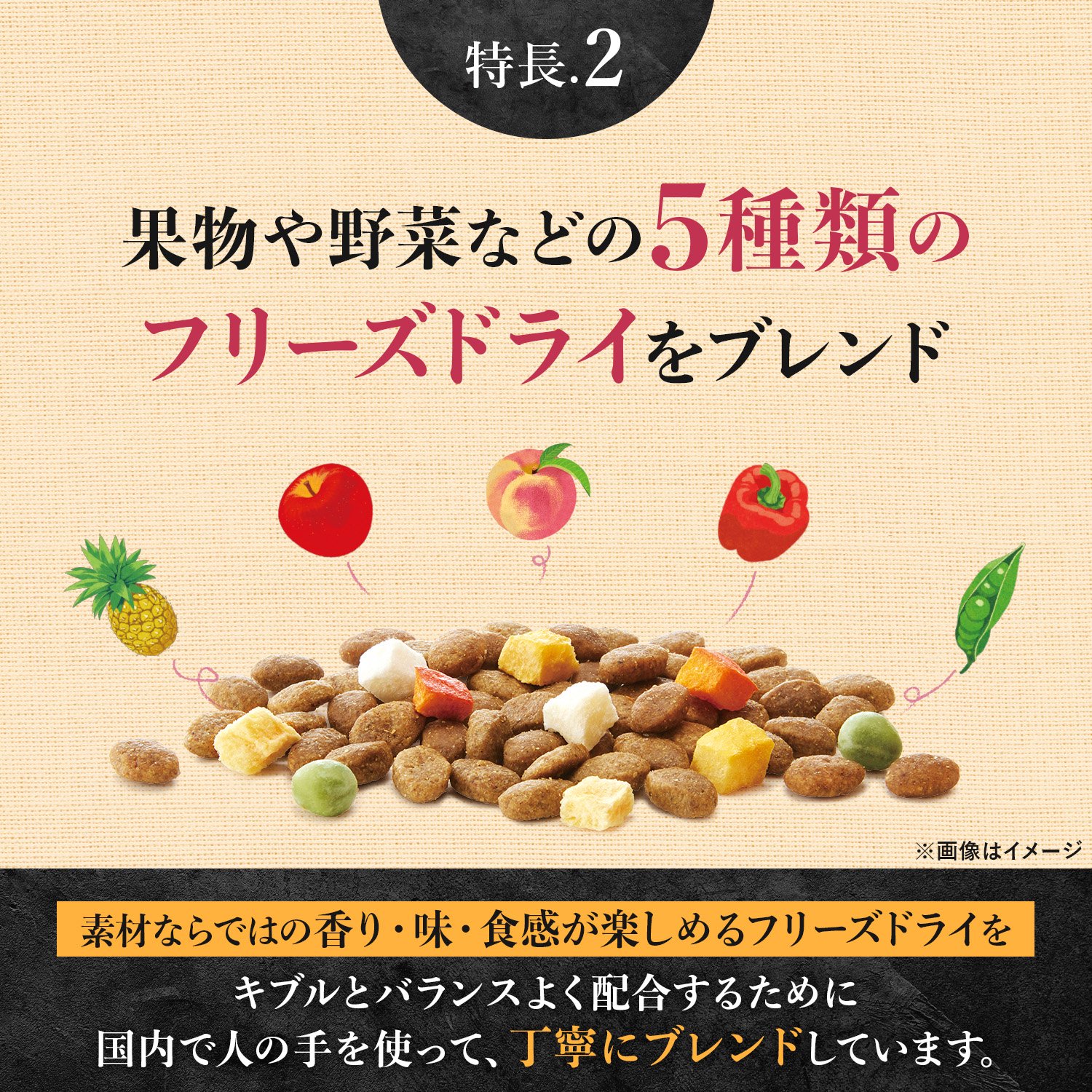 ニュートロ 超小型犬ー小型犬用 成犬用 プレミアムブレンド 1.5kgX3種 フリーズドライ入り お一人様5点限り CRC45―02―53―10―00 ニュートロ 超小型犬ー小型犬用 成犬用 プレミアムブレンド 1.5kgX3種 フリーズドライ入り お一人様5点限り CRC45―02―53―10―00