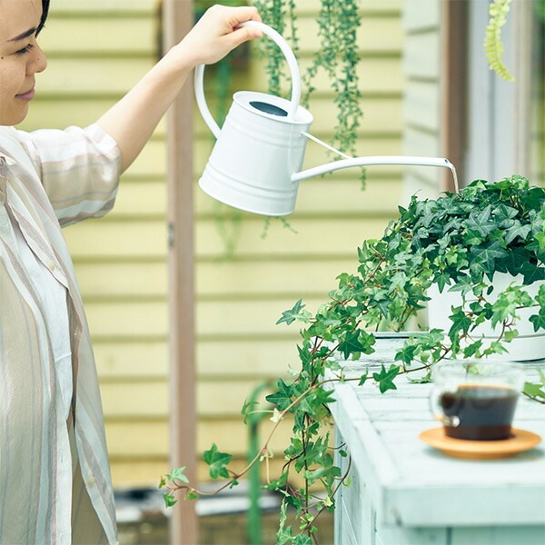 UCC DRIP POD ドリップポッド カプセル ホンジュラス&コロンビア 12個入×12箱セット(144個) DPHC002 UCC DRIP POD ドリップポッド カプセル ホンジュラス&コロンビア 12個入×12箱セット(144個) DPHC002