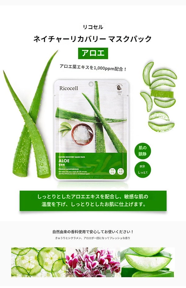 韓国 デイリーパック まとめ売り 20syu-20mai.jpg