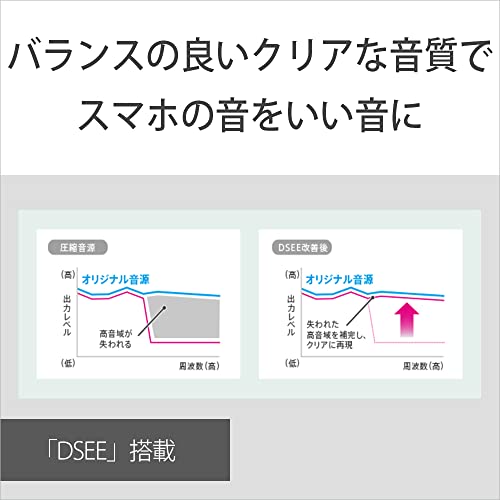 ソニー ワイヤレスイヤホン WI-C100:Bluetooth対応/25時間スタミナ/IPX4防滴/DSEE搭載 ブラック WI-C100 BZ 小