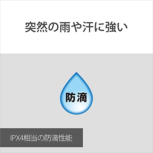 ソニー ワイヤレスイヤホン WI-C100:Bluetooth対応/25時間スタミナ/IPX4防滴/DSEE搭載 ブラック WI-C100 BZ 小