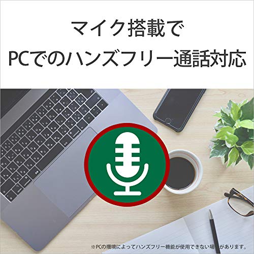 ソニー ワイヤレスイヤホン WI-C100:Bluetooth対応/25時間スタミナ/IPX4防滴/DSEE搭載 ブラック WI-C100 BZ 小