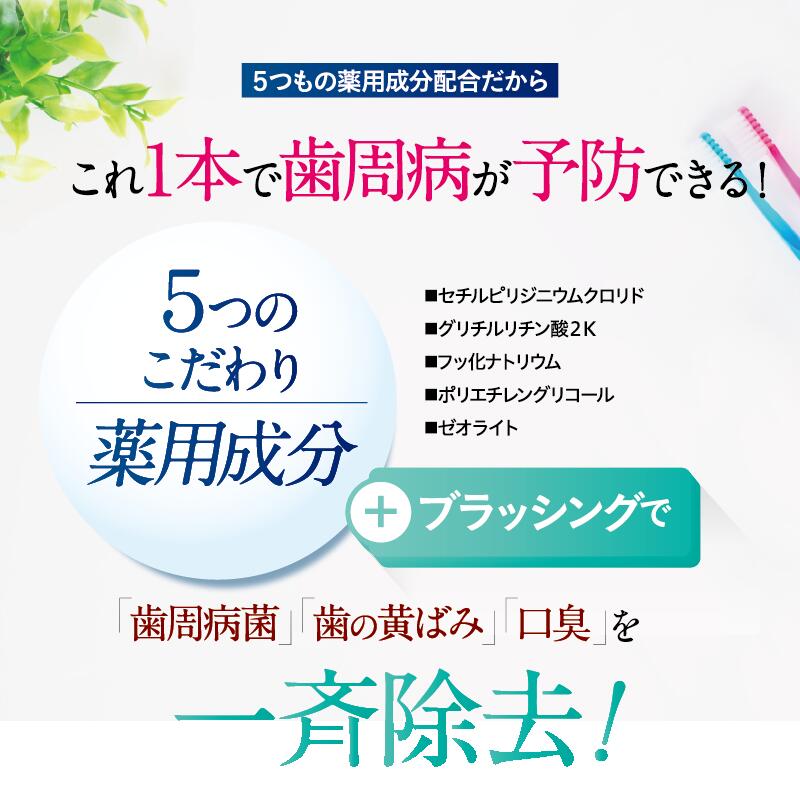 【公式】和漢爽快 1本49ml 3本 和漢成分 薬用成分 口臭 歯周病 防止 歯 黄ばみ ホワイトニング 医薬部外品 男性 女性 薬用歯磨き粉