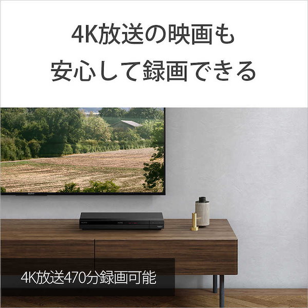 Qoo10] ソニー SONY 録画用BD-R XL