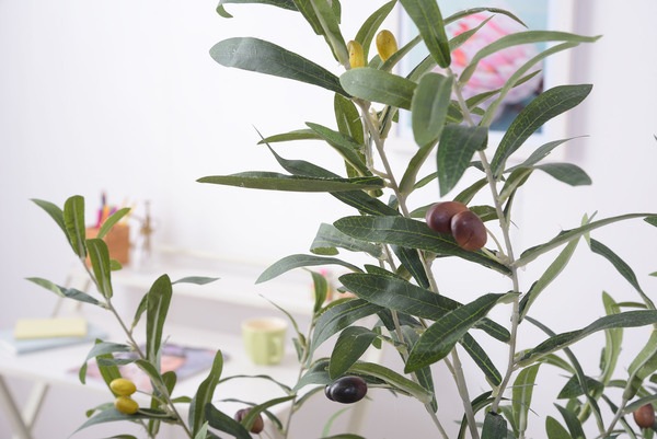 フェイクグリーン オリーブ ポリ塩化ビニル 合成樹脂 フェイクグリーン オリーブ ポリ塩化ビニル 合成樹脂