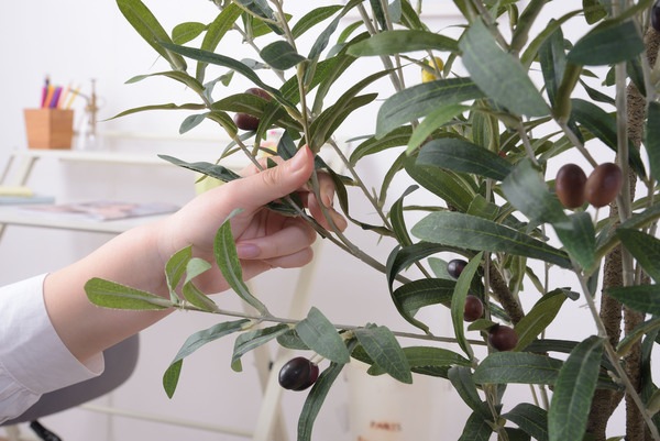 フェイクグリーン オリーブ ポリ塩化ビニル 合成樹脂 フェイクグリーン オリーブ ポリ塩化ビニル 合成樹脂