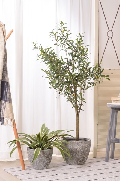 フェイクグリーン オリーブ ポリ塩化ビニル 合成樹脂 フェイクグリーン オリーブ ポリ塩化ビニル 合成樹脂