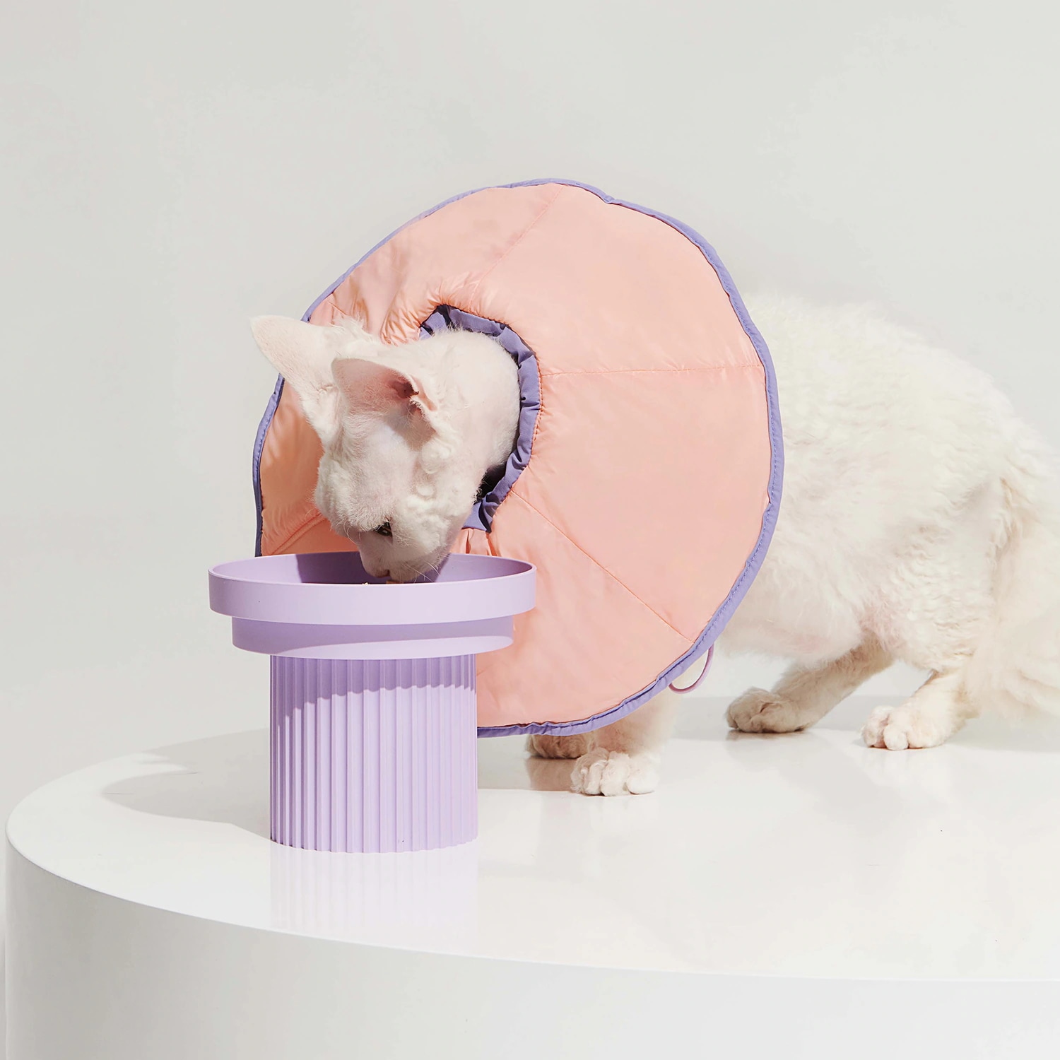 Purrre Dual-use Cone Collar ベル型エリザベスカラー L/XLサイズ