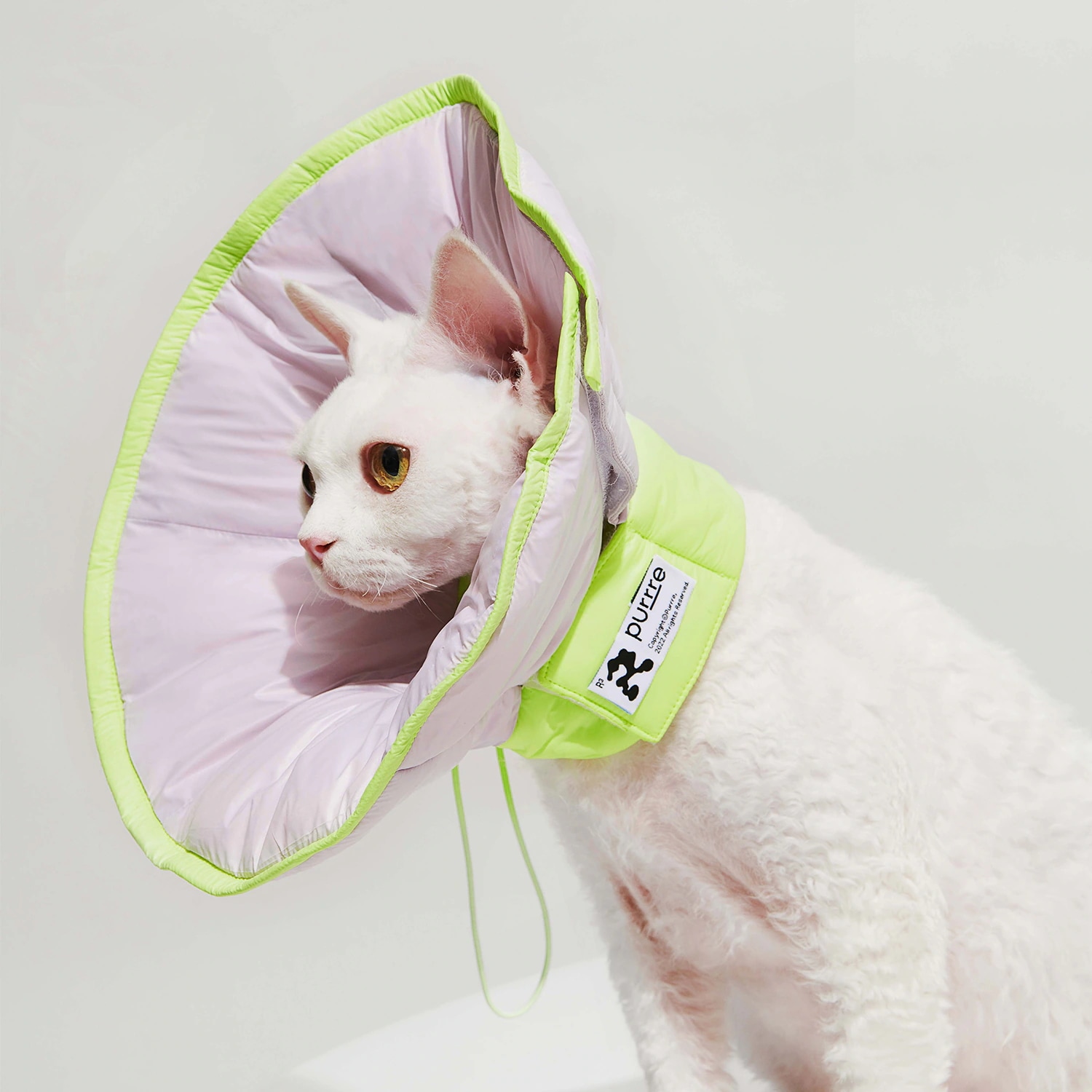 Purrre Dual-use Cone Collar ベル型エリザベスカラー L/XLサイズ