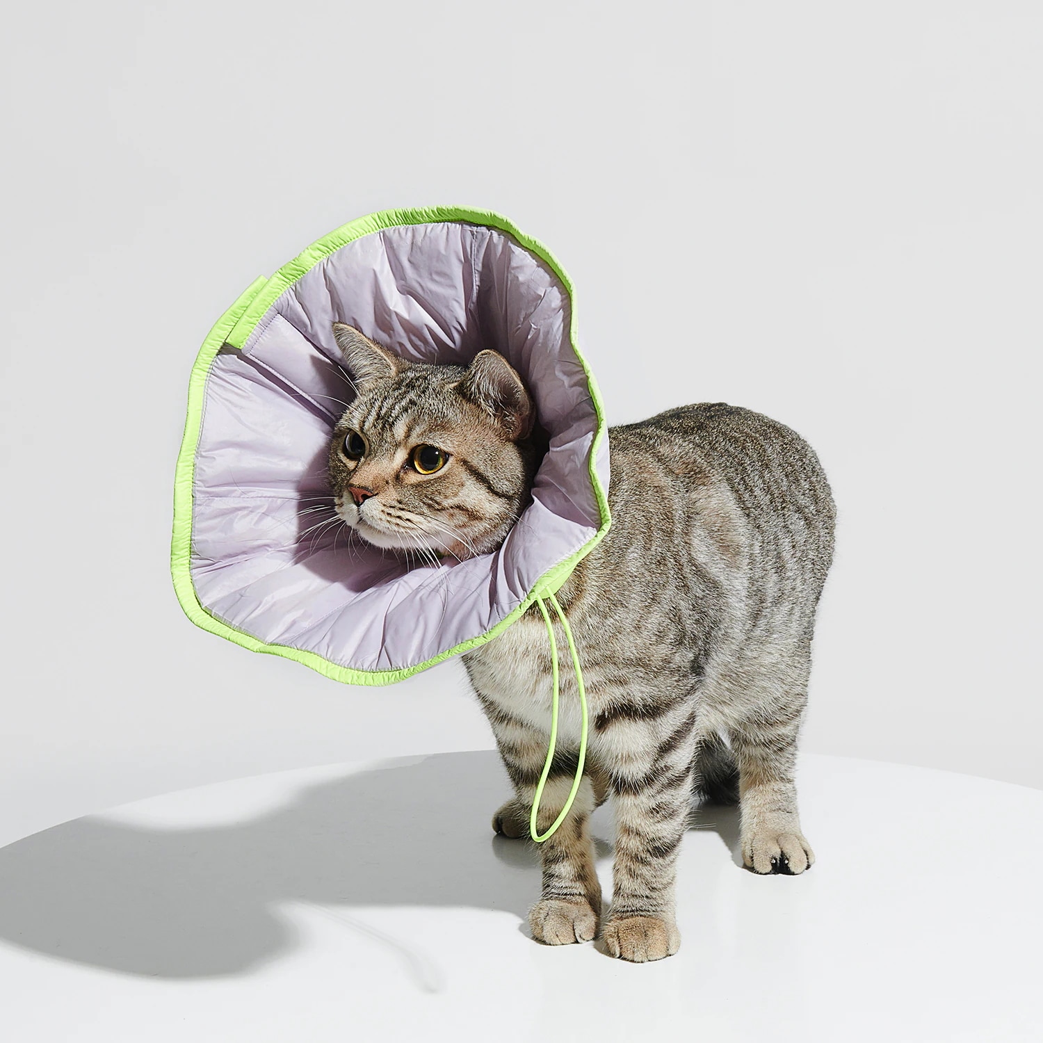 Purrre Dual-use Cone Collar ベル型エリザベスカラー L/XLサイズ