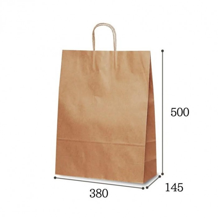 自動紐手提袋 T-12 茶無地 1496 50枚 自動紐手提袋 T-12 茶無地 1496 50枚