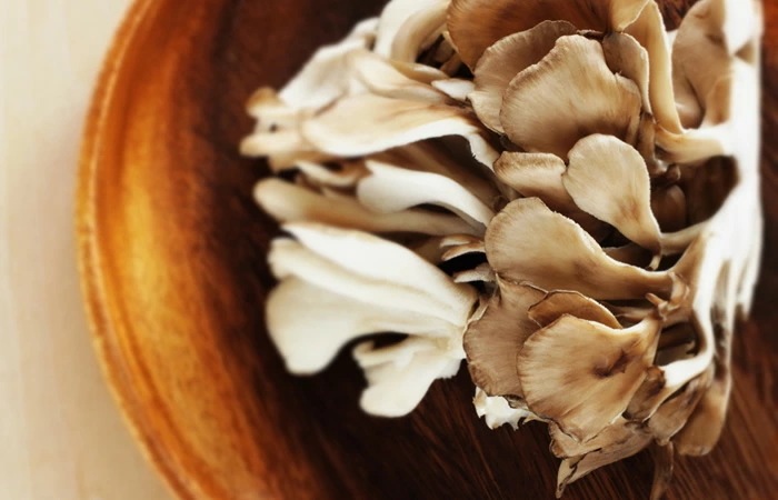 国産100% まいたけ粉末 70g6袋セット 北海道産または群馬県産 マイタケ 舞茸 パウダー 舞茸粉末 舞茸茶 まいたけ茶 健康食品 サプリメント セット ギフト プレゼント お年賀 御年賀 父の