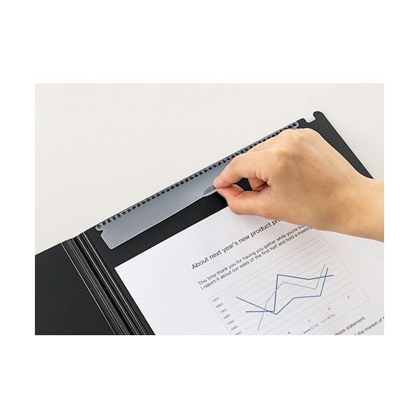 ライオン事務器 フラップ式ホルダー (ビジカル) A4タテ ホワイト FH-300B 1セット(20枚)