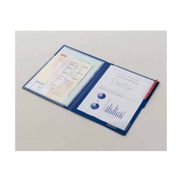 ライオン事務器 フラップ式ホルダー (ビジカル) A4タテ ホワイト FH-300B 1セット(20枚)