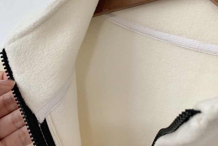 トップス プルオーバー レギュラー丈 袖あり 長袖 レディース 個性的 襟付き スタンドカラー ファスナー ポケット ポリエステル 厚手 ベルベット カジュアル お洒落 メンズライク 10代 20代 トップス プルオーバー レギュラー丈 袖あり 長袖 レディース 個性的 襟付き スタンドカラー ファスナー ポケット ポリエステル 厚手 ベルベット カジュアル お洒落 メンズライク 10代 20代