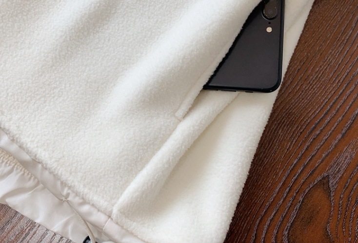 トップス プルオーバー レギュラー丈 袖あり 長袖 レディース 個性的 襟付き スタンドカラー ファスナー ポケット ポリエステル 厚手 ベルベット カジュアル お洒落 メンズライク 10代 20代 トップス プルオーバー レギュラー丈 袖あり 長袖 レディース 個性的 襟付き スタンドカラー ファスナー ポケット ポリエステル 厚手 ベルベット カジュアル お洒落 メンズライク 10代 20代