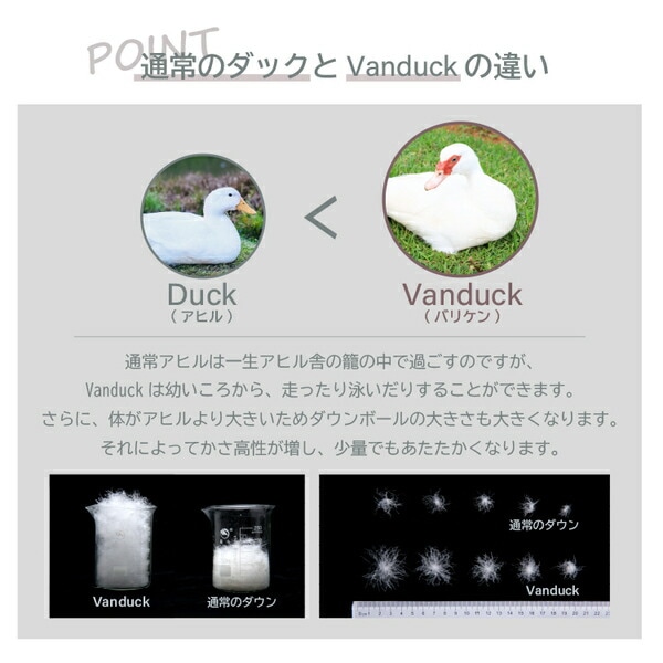 Vanduck Down85% かるふわ羽毛肩当て フリーサイズ グレー Vanduck Down85% かるふわ羽毛肩当て フリーサイズ グレー