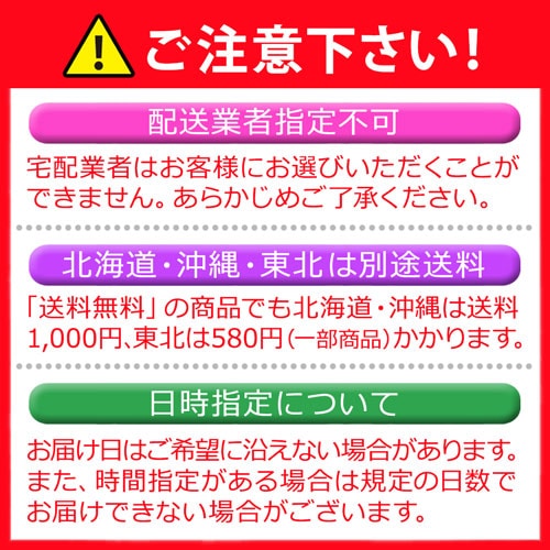 Qoo10] 9cm お守り 貝 ホシダカラ ホシタカ
