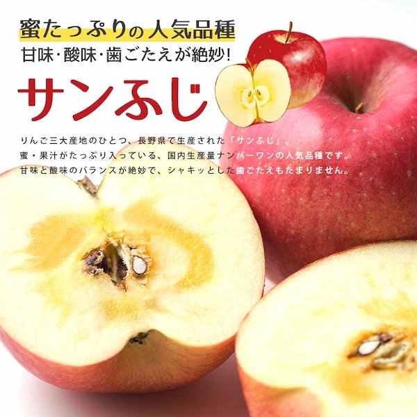 Qoo10]　りんご　リンゴ　サンふじ　サンふじりんご