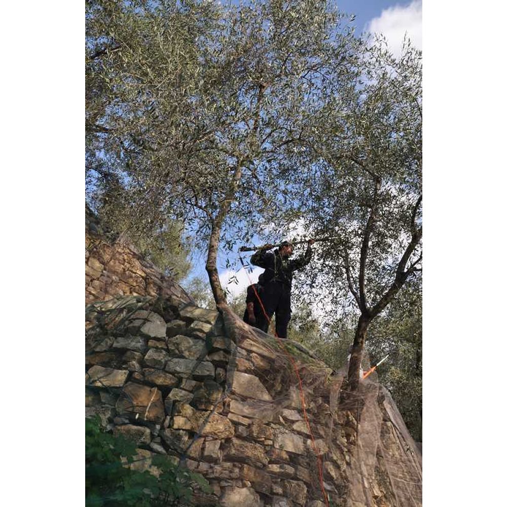 フードライナー アルドイノ エキストラヴァージン オリーブオイル フルクトゥス 750ml フードライナー アルドイノ エキストラヴァージン オリーブオイル フルクトゥス 750ml