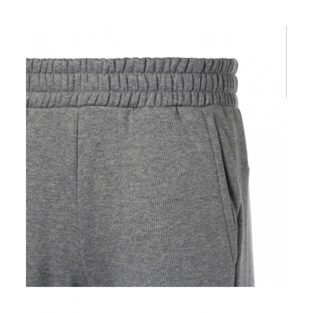 プーマ ESS プーマパンツ FL CL M (84723302) プーマ ESS プーマパンツ FL CL M (84723302)