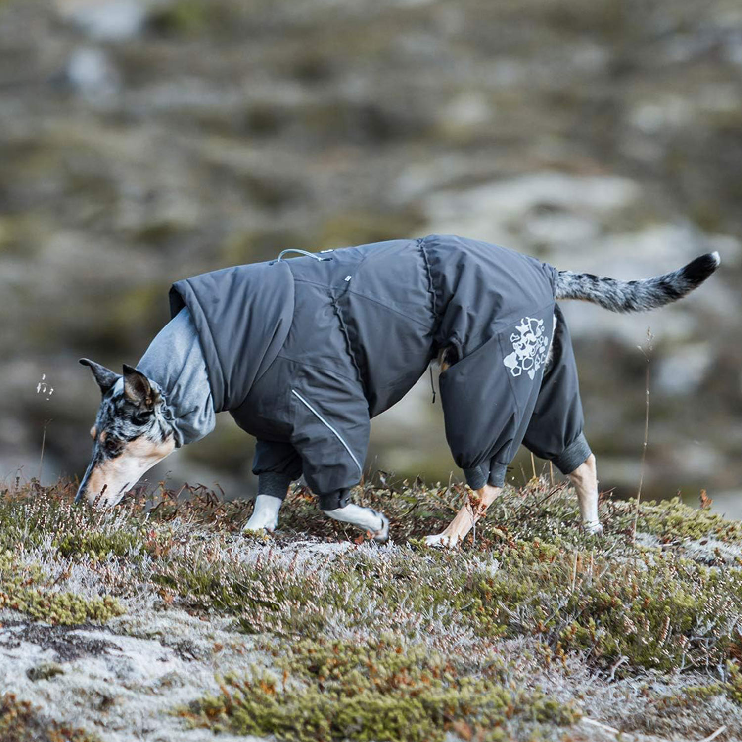 犬 服 オーバーオール 犬服 冬 アウター 大型犬 防寒 EXTREME OVERALLS グレー 犬 服 オーバーオール 犬服 冬 アウター 大型犬 防寒 EXTREME OVERALLS グレー