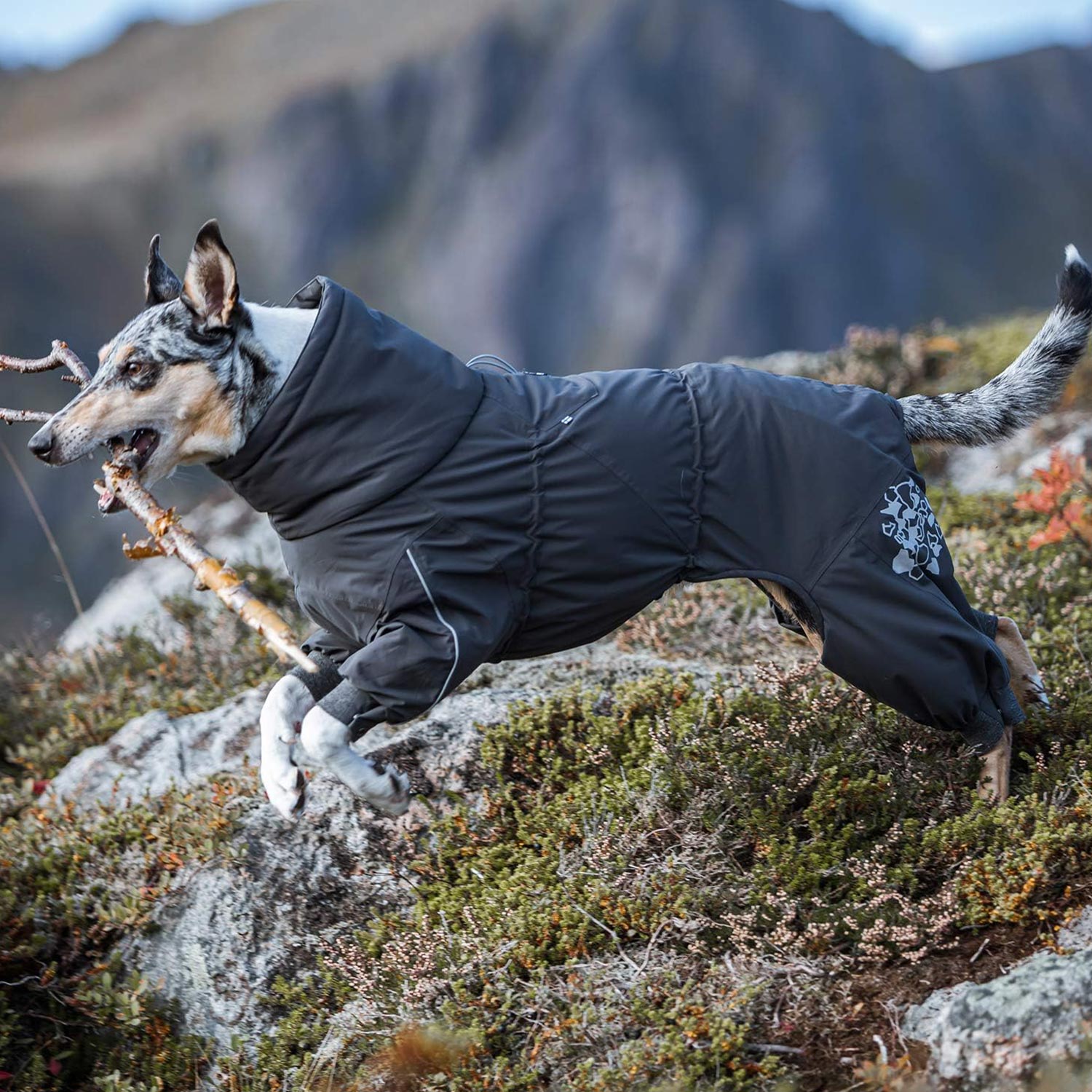 犬 服 オーバーオール 犬服 冬 アウター 大型犬 防寒 EXTREME OVERALLS グレー 犬 服 オーバーオール 犬服 冬 アウター 大型犬 防寒 EXTREME OVERALLS グレー
