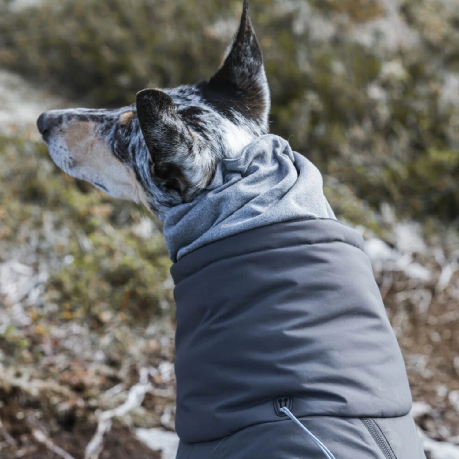 犬 服 オーバーオール 犬服 冬 アウター 大型犬 防寒 EXTREME OVERALLS グレー 犬 服 オーバーオール 犬服 冬 アウター 大型犬 防寒 EXTREME OVERALLS グレー
