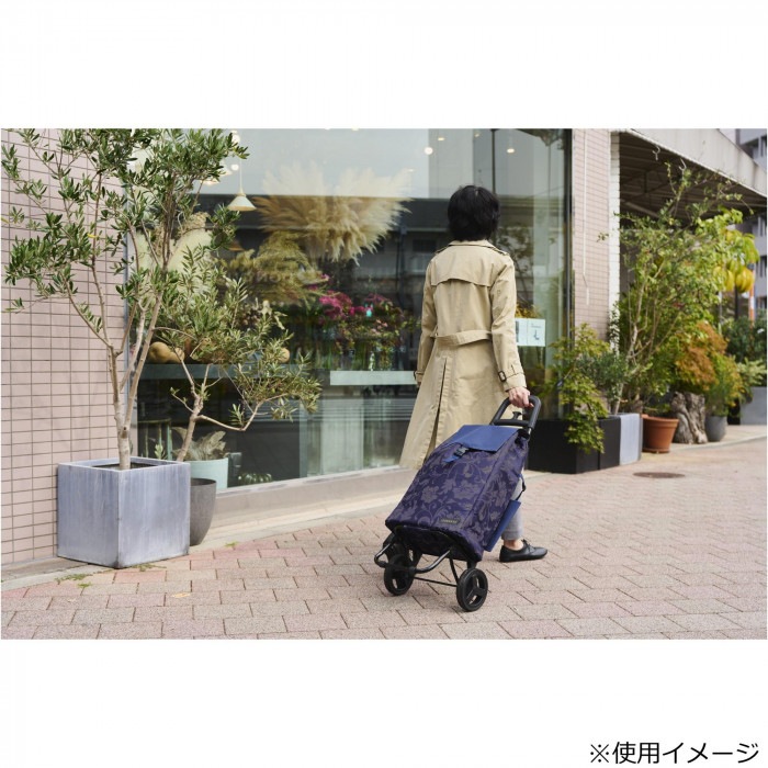 550502 グレイス カート NV 550502 グレイス カート NV
