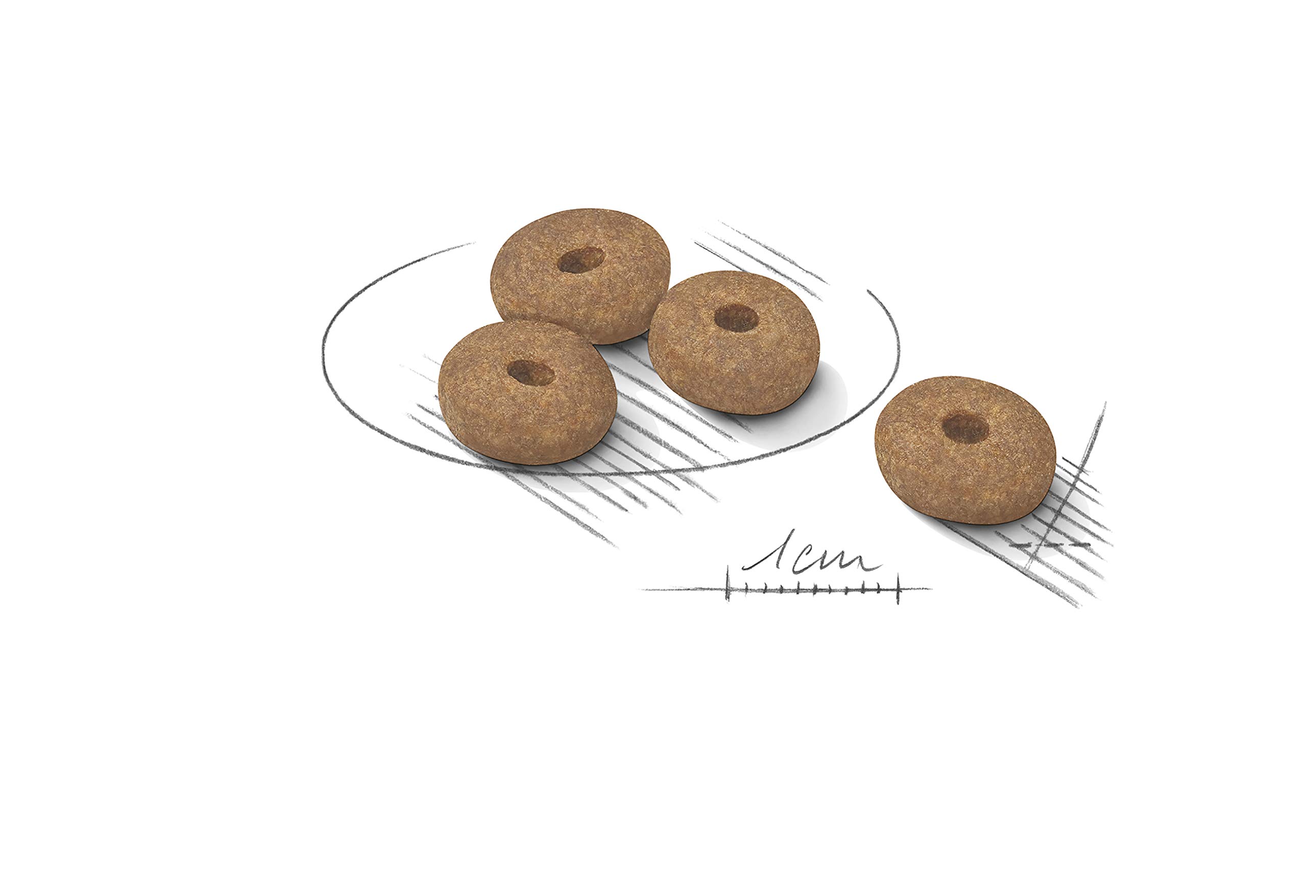 royal canin sas CCN ミニライト ウェイト ケア 2kg（減量したい犬用 小型犬専用 成犬高齢犬用）