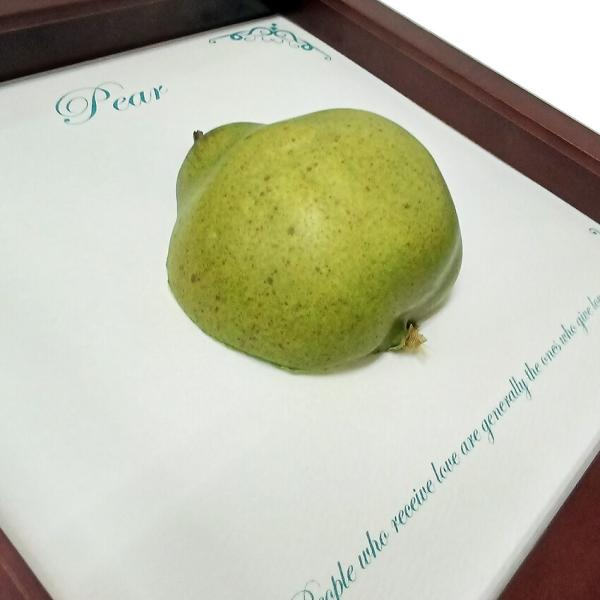 ファブリックパネル アートフレーム 飾り 洋ナシ なし 梨 3D 壁掛け ウォールデコレーション 22x22cm