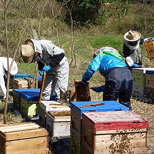国産 蜂蜜 里山の香 600g はちみつ ハチミツ (ギフト 自家用)非加熱 無添加 みつばち本舗 国産 蜂蜜 里山の香 600g はちみつ ハチミツ (ギフト 自家用)非加熱 無添加 みつばち本舗
