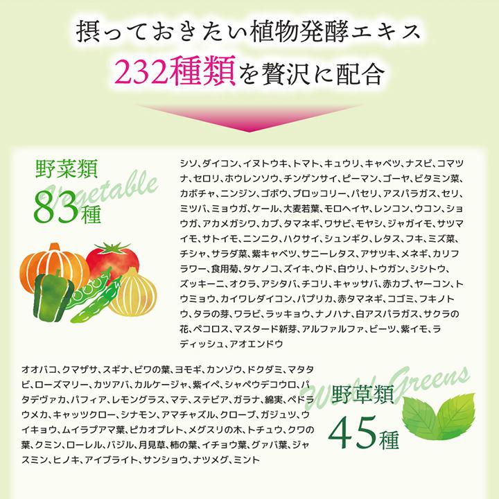 232酵素シリーズ 酵素 サプリ サプリメント 食スルー酵素 120粒 30日分 12袋 ダイエット フォルスコリー まとめ買い