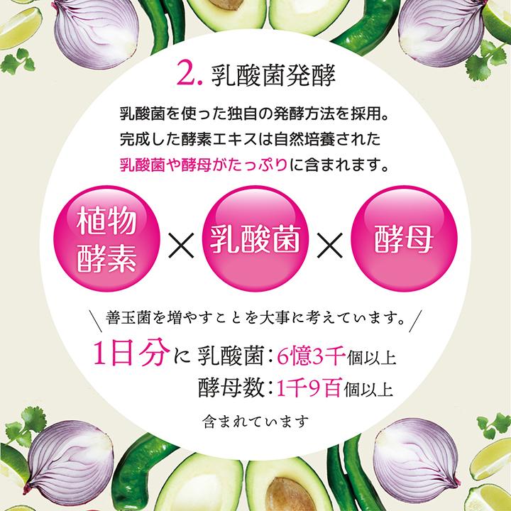 232酵素シリーズ 酵素 サプリ サプリメント 食スルー酵素 120粒 30日分 12袋 ダイエット フォルスコリー まとめ買い