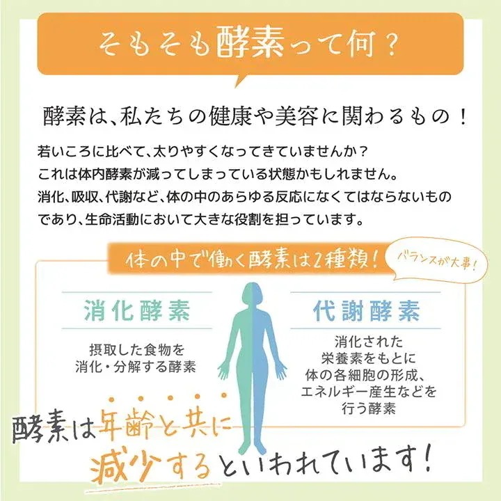 232酵素シリーズ 酵素 サプリ サプリメント 食スルー酵素 120粒 30日分 12袋 ダイエット フォルスコリー まとめ買い