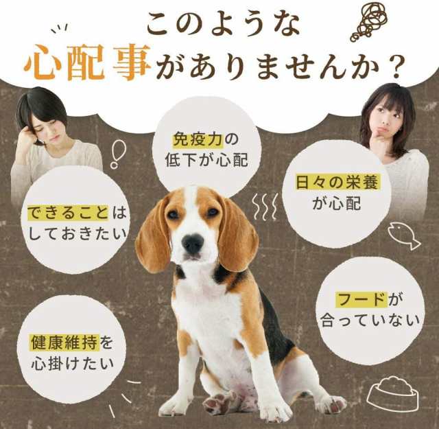 アイコナ aikona 犬用 サプリメント 60g 腸活 ケア 愛犬