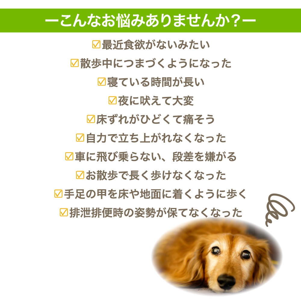 犬潤 100g 犬 猫 ペット サプリメント コラーゲン ペプチド 天然 低分子 皮膚 被毛 関節 軟骨 無香料 保存料不使用 国産 いぬじゅん
