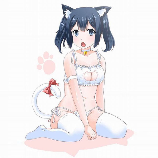 甘えさせろよっ #もふもふ #ふくふく #はちわれ #ぶちゃねこ #エキゾ #エキゾチックショートヘア #cat #cats  #exoticshorthair
