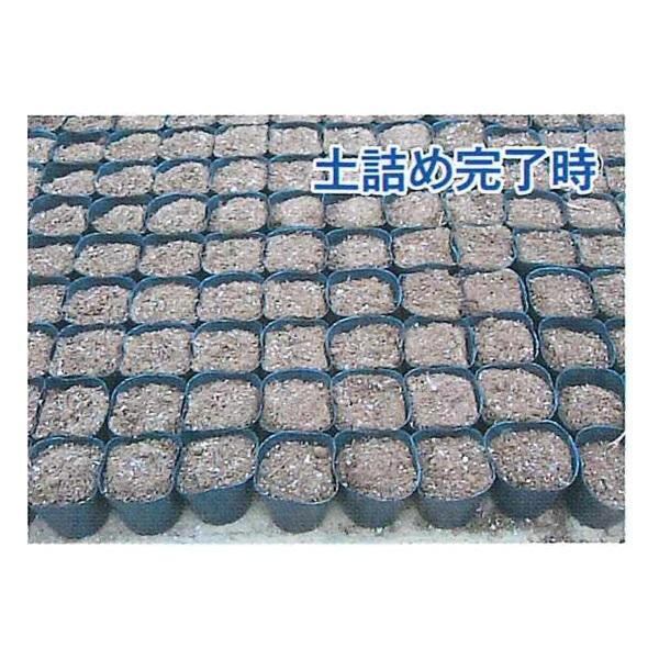 槍木産業 スピードポッター 71x119cm L型 小穴 板のみ 土詰め 槍木産業 スピードポッター 71x119cm L型 小穴 板のみ 土詰め