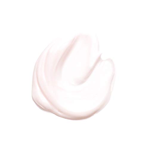 KANEBO(カネボウ) カネボウ フレッシュ デイ クリーム SPF15/PA クリーム