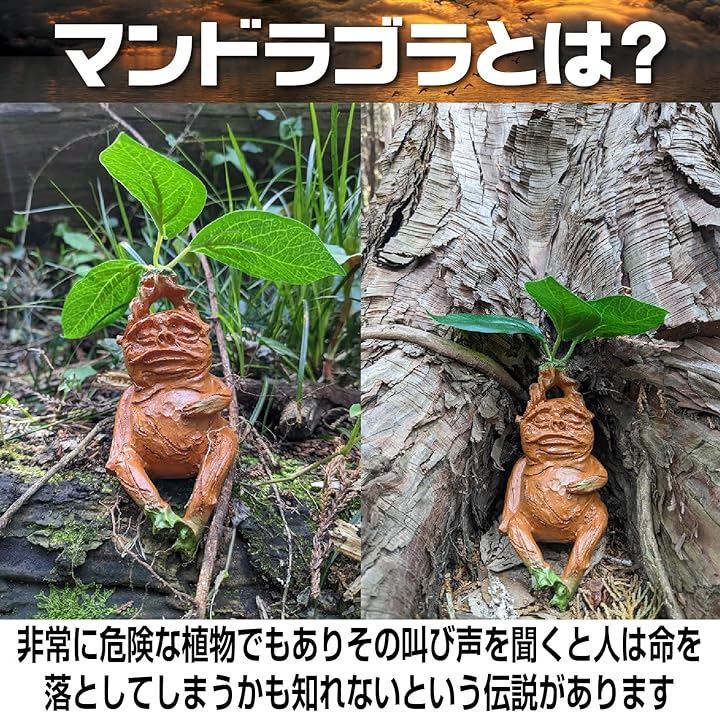 Qoo10] マンドレイク マンドラゴラ 面白い 置物