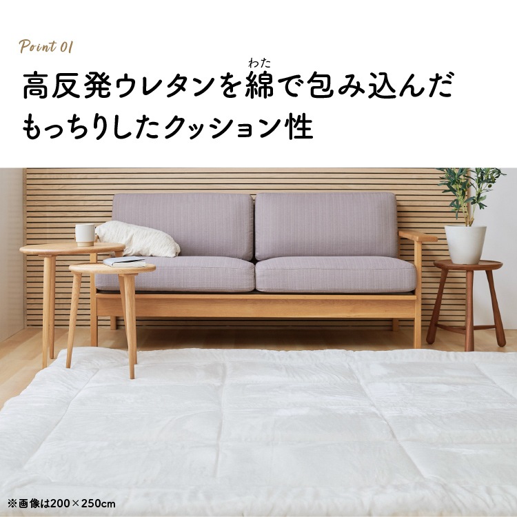 【人気商品】カーペット じゅうたん 極厚仕立て 超極厚ラグ 200x250 (D) メガ割 【人気商品】カーペット じゅうたん 極厚仕立て 超極厚ラグ 200x250 (D) メガ割